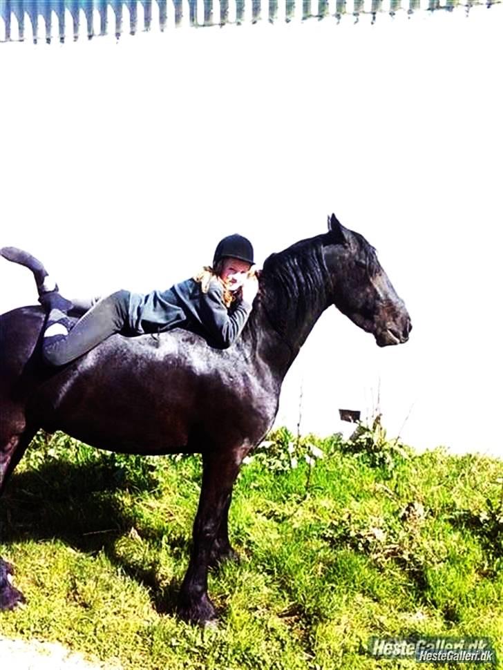 Frieser Rommert Jasper billede 20