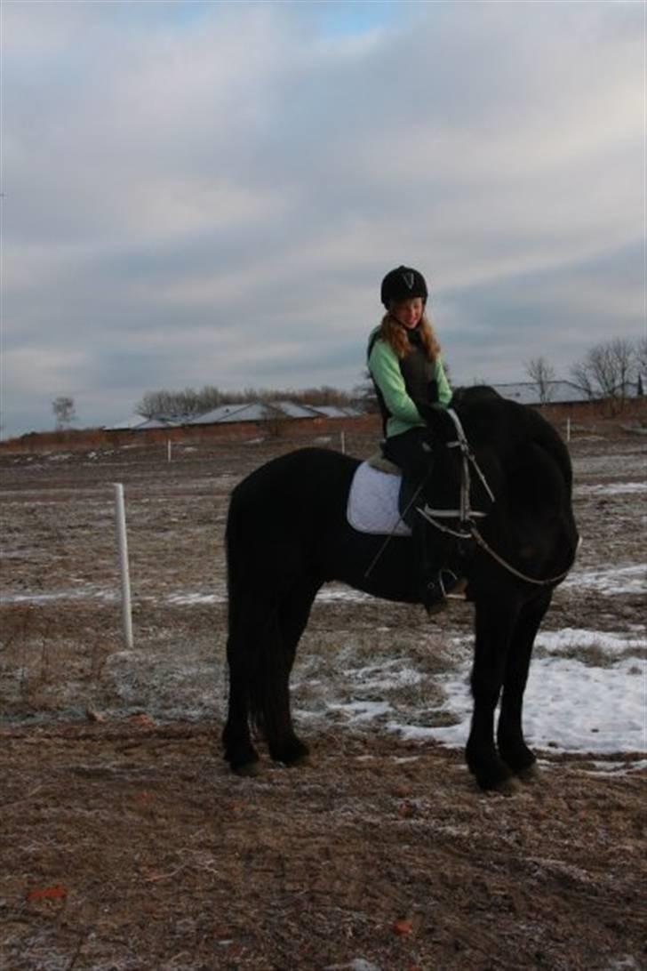 Frieser Ritsert - Ritte - 19. magic in the air! :D billede 19