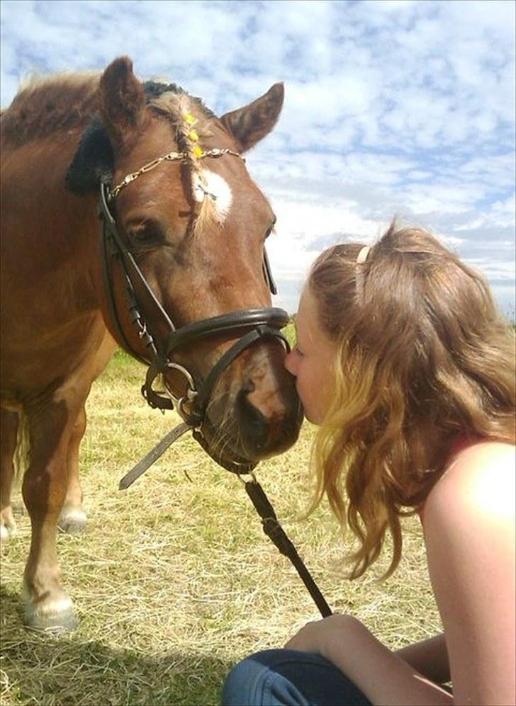 Anden særlig race Palle billede 7