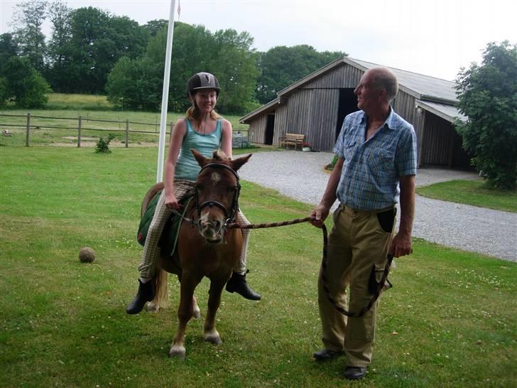 Anden særlig race Palle billede 4