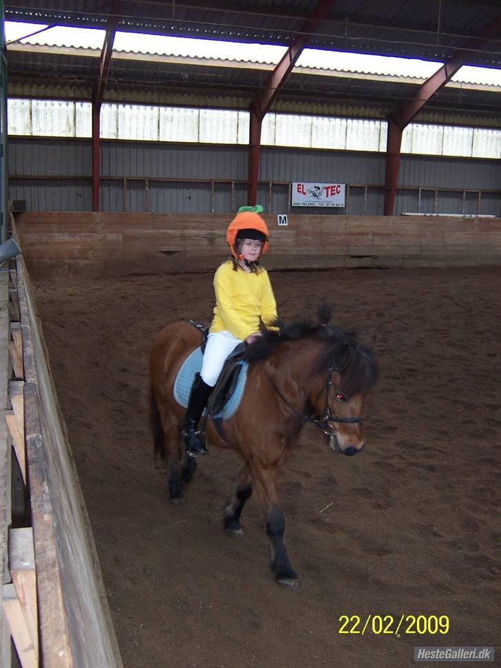 Anden særlig race Passo<3 i; - fastelavns stævne 2009 på åskov rideskole,Sdr.Felding  billede 7