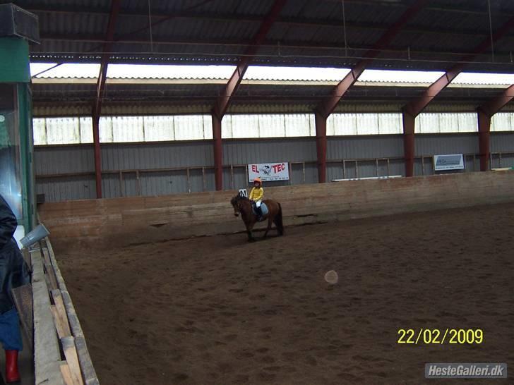 Anden særlig race Passo<3 i; - fastelavns stævne......det var rigtig sjovt billede 8