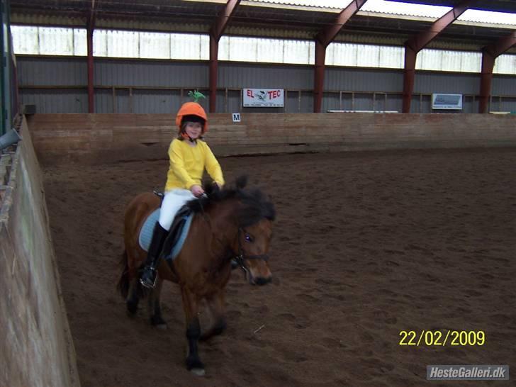 Anden særlig race Passo<3 i; - fastelavnsstævne.....er vi ikke bare smukke mig og Passo??? billede 10