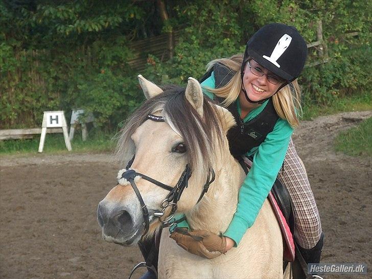 Fjordhest Columbine Bøgely - Er hun ikke dejlig :D ?<3 Hun er så smuk ;i billede 5