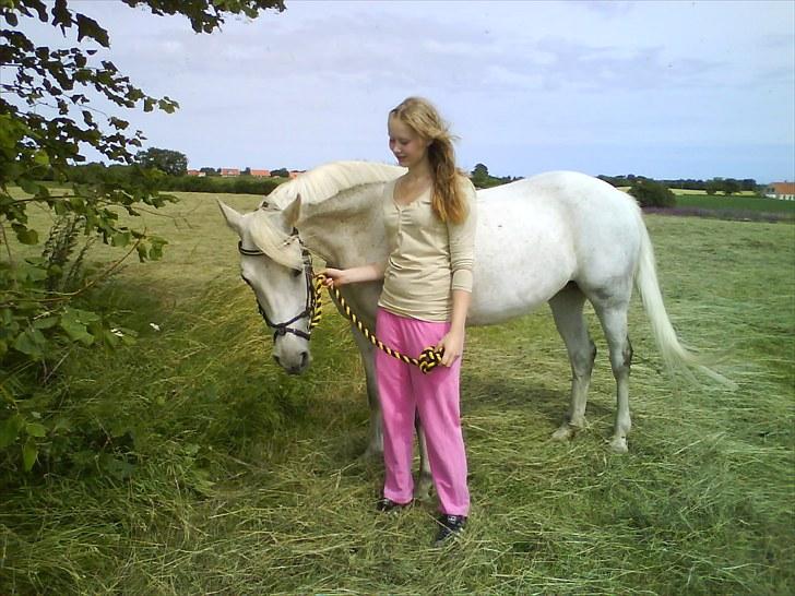 Anden særlig race Lafajet billede 11