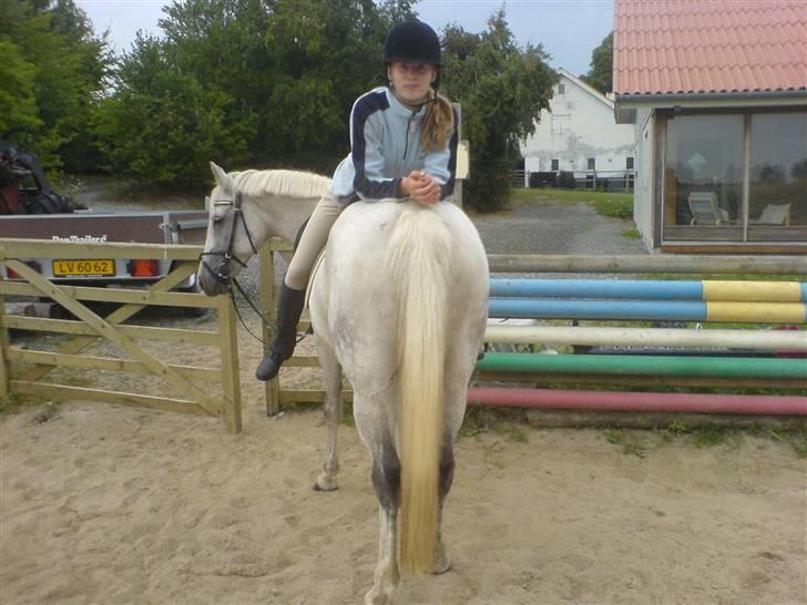 Anden særlig race Lafajet billede 12