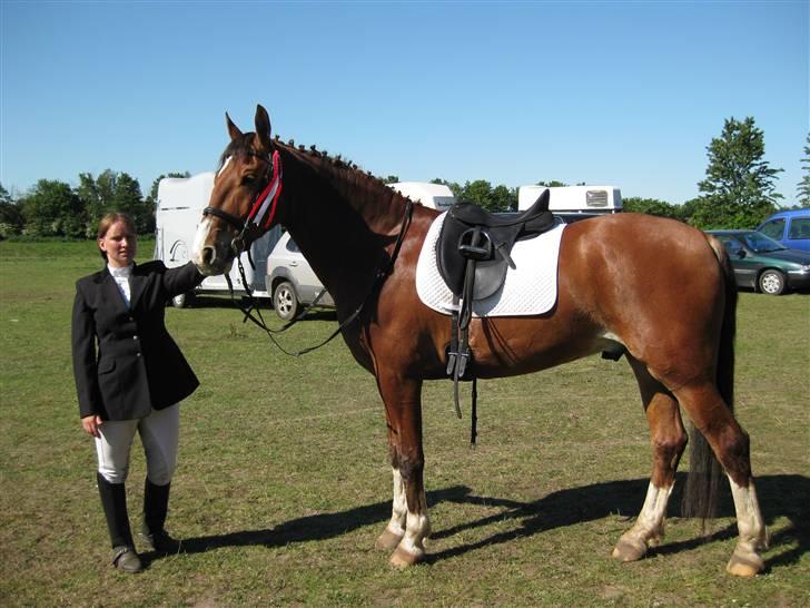 Anden særlig race No Chance Kronborg billede 5