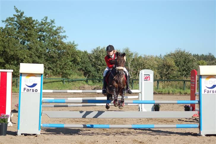 DSP Apollo (Gjøll's Jeff) - Distriksmesterskab i Farsø 2008 billede 11