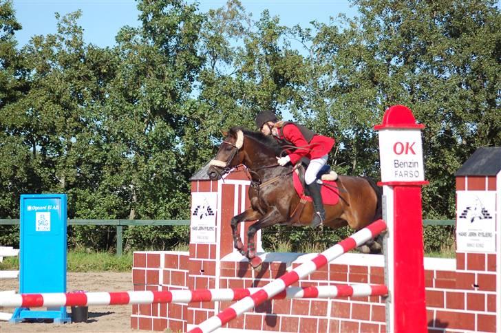 DSP Apollo (Gjøll's Jeff) - MB i Farsø i 2008 billede 12