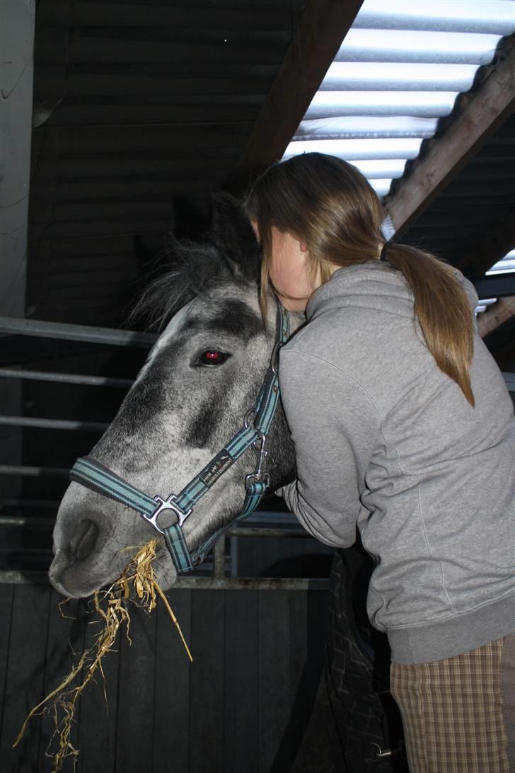 Anden særlig race Labri <3 - Hygge i boksen <3 Foto Katrine billede 6
