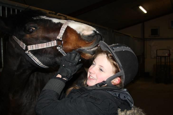 Anden særlig race Bruno Bamsen. (y) - neej bamse! du må ikk snuppe min ridehjelm !:* billede 18