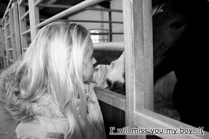 Anden særlig race Bruno Bamsen. (y) - I will miss you.  billede 20