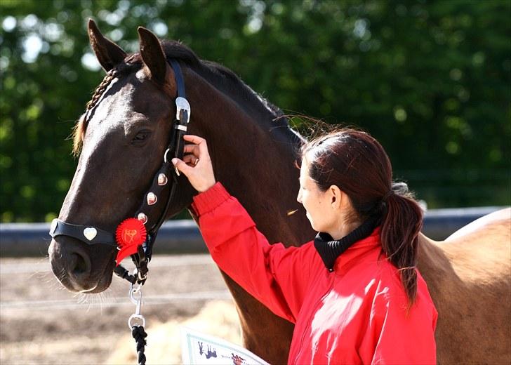 Welsh Partbred (Sec F) Chili´s Zappa - Fotograf: Camilla Rosenlund / CR-FOTO  billede 13