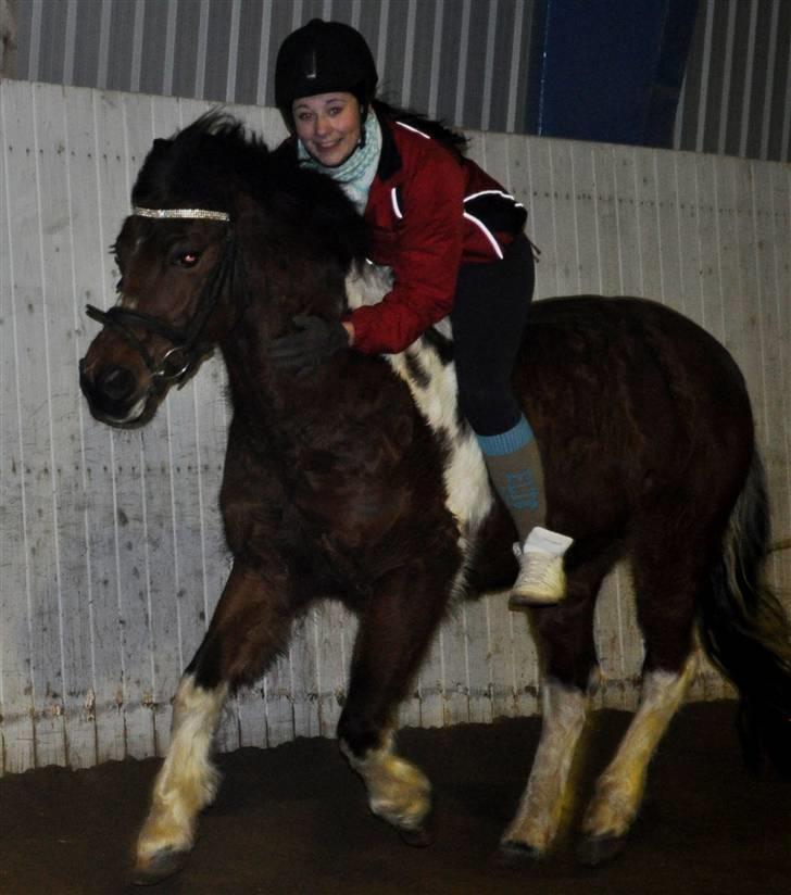 Pinto Enghavens Storm - solgt:( - orm og rebecca sidste ride tur. billede 19