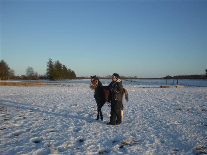 Anden særlig race Gaia billede 2