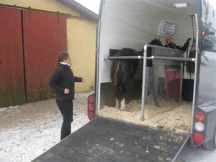 Anden særlig race Gaia billede 3