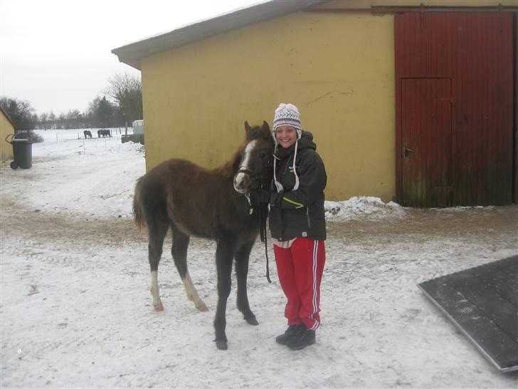 Anden særlig race Gaia - Første dag hjemme :) billede 4