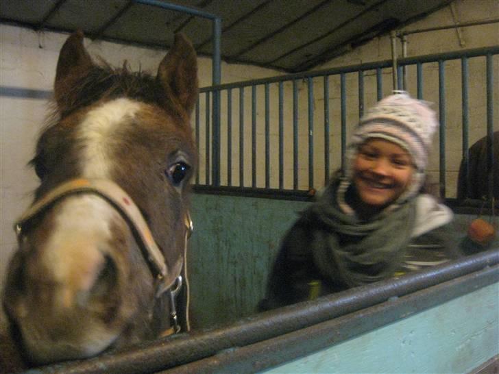 Anden særlig race Gaia billede 5