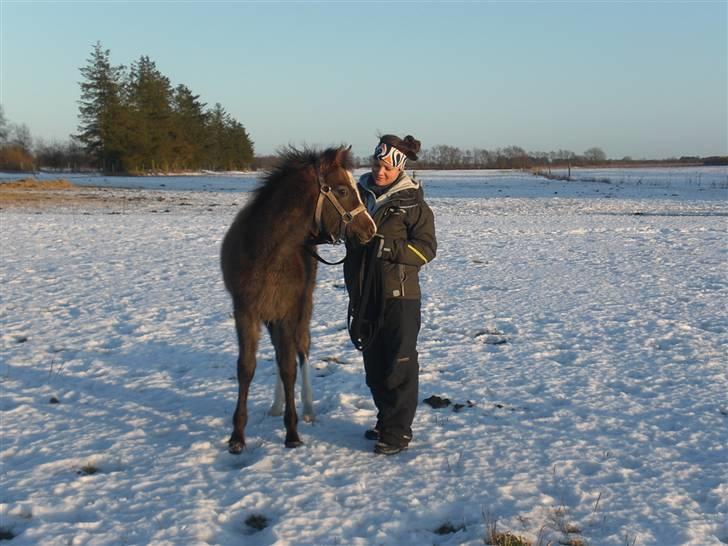 Anden særlig race Gaia billede 9