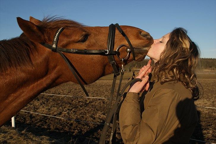 DSP Tofts Gambler - Nyt* Gamblers ekstreme kys xD omg.. billede 6