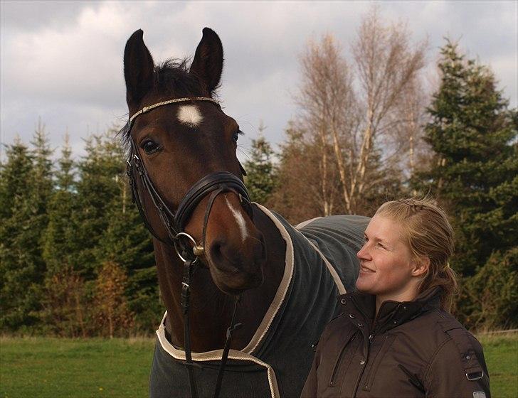 Dansk Varmblod Nørremøllehøj´s Luna (Solgt til norge) billede 1