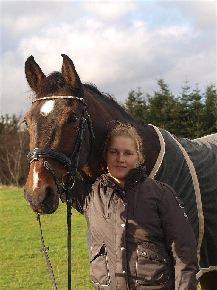 Dansk Varmblod Nørremøllehøj´s Luna (Solgt til norge) billede 5