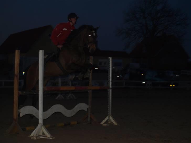 Dansk Varmblod Nørremøllehøj´s Luna (Solgt til norge) - 14-04-2010 Sonny springer ca 120 på luna :D billede 7