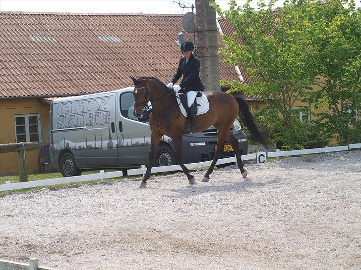 Dansk Varmblod Nørremøllehøj´s Luna (Solgt til norge) - Dressur LA2 7 maj 2011 billede 13