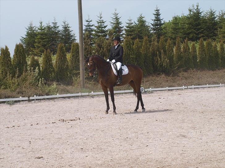 Dansk Varmblod Nørremøllehøj´s Luna (Solgt til norge) - Dressur LA2 7 maj 2011 billede 14
