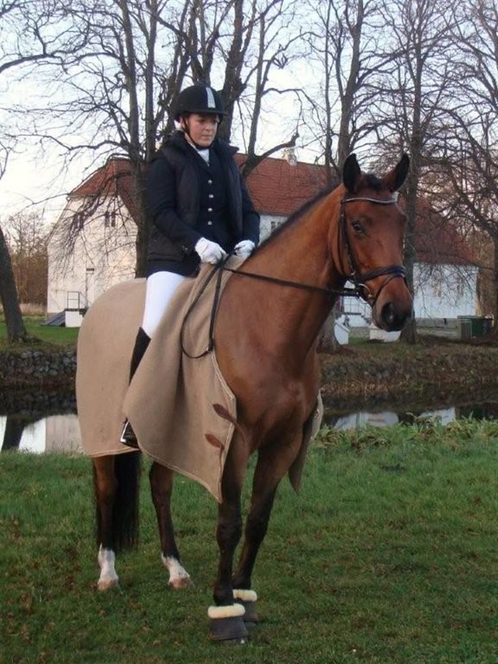 Anden særlig race Lady Liva - R.I.P - november 09 billede 15