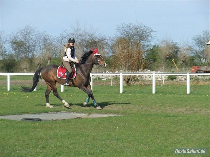 DSP Nørlunds Argentan SOLGT - :) billede 10
