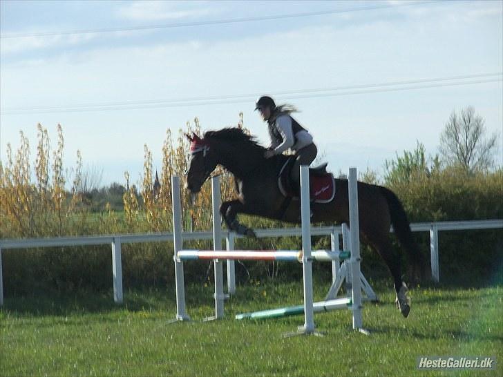 DSP Nørlunds Argentan SOLGT - super spring billede 11