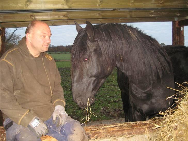 Lusitano A-Furia - A-Furia 30.oktober 2009 billede 16