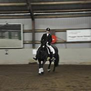 Anden særlig race yasmin, min passer hest.