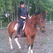 Anden særlig race Antonius