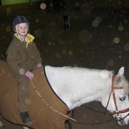 Anden særlig race Rotterdams Rico (solgt)