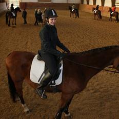 Anden særlig race Ramses R.I.P Altid elsket