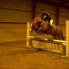 DSP Sejerøs Baron (Solgt)