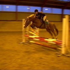 DSP Sejerøs Baron (Solgt)