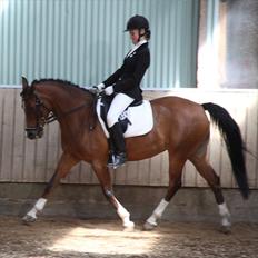 DSP Annemone *LÅNE PONY* 