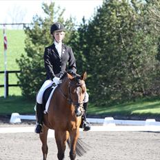 DSP Annemone *LÅNE PONY* 