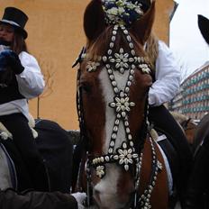 Frederiksborg Tex Langemark 