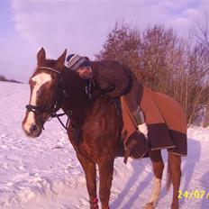 Anden særlig race Cover Girl (Aflivet) :'(