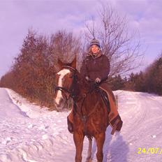 Anden særlig race Cover Girl (Aflivet) :'(