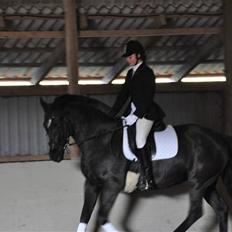 Anden særlig race yasmin, min passer hest.