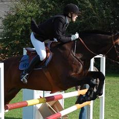 Anden særlig race Fredrik [Himmelhest]