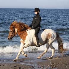 Islænder Kemba v. Asbeck 