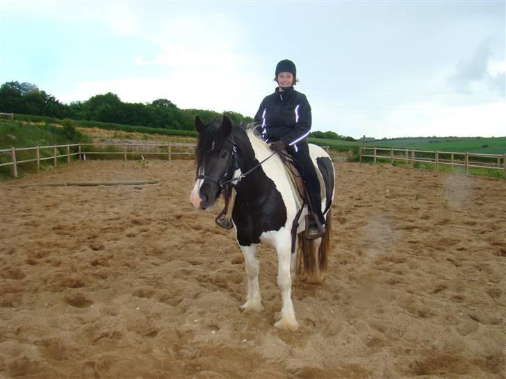 Irish Cob WW Rosie * SOLGT - efter 2009 - med ny bidløs trense og rytter 3½ år gammel billede 9
