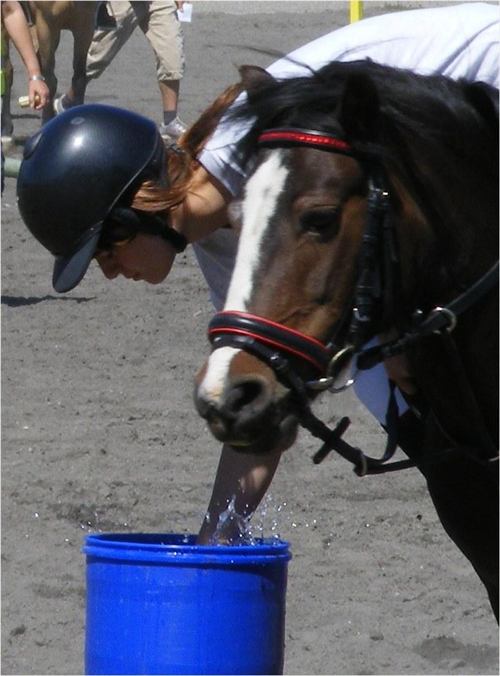 New Forest STELLA - DM i ponygames 2010 billede 13