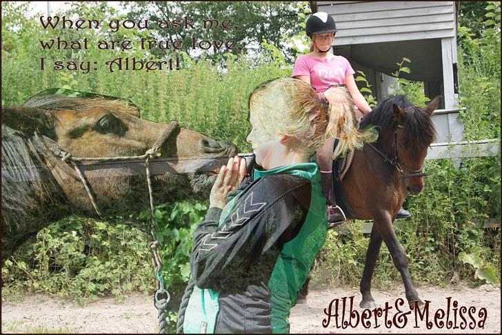 Anden særlig race Albert*KS-pony :'( -ILY!* - Elsker dig pony :D Lavet af: Cecillie<3 fotografer: "kysse"-billedet - Sabrina.. Dressur-billedet - Emilie billede 3
